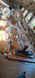 Galerie photo 